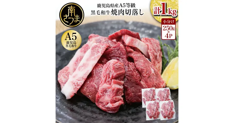 【ふるさと納税】鹿児島県産 A5等級黒毛和牛 焼肉 切り落とし計1kg（250g×4P） 国産牛 牛肉 国産 焼き肉 カミチク 切落し おまかせ BBQ バーベキュー 小分けパック 冷凍【2019年度ふるさと納税寄附額鹿児島県1位！南さつま市】