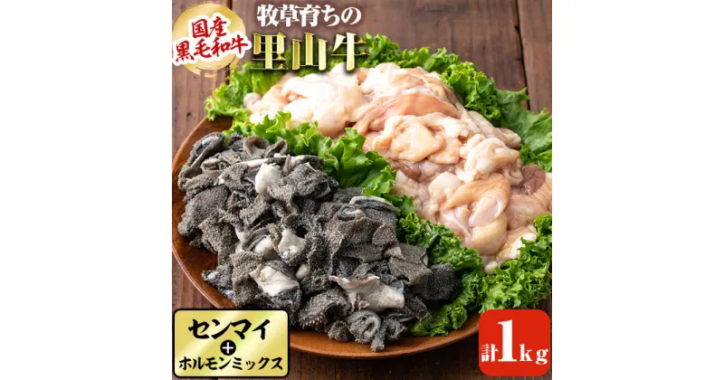 【ふるさと納税】国産黒毛和牛 牧草育ちの里山牛 センマイ・ホルモンミックス計1kg(センマイ200g×2p・ホルモンミックス200g×3p) 黒毛和牛 和牛 肉 牛肉 国産 ホルモン センマイ もつ 焼肉 BBQ【さかうえ】a5-277