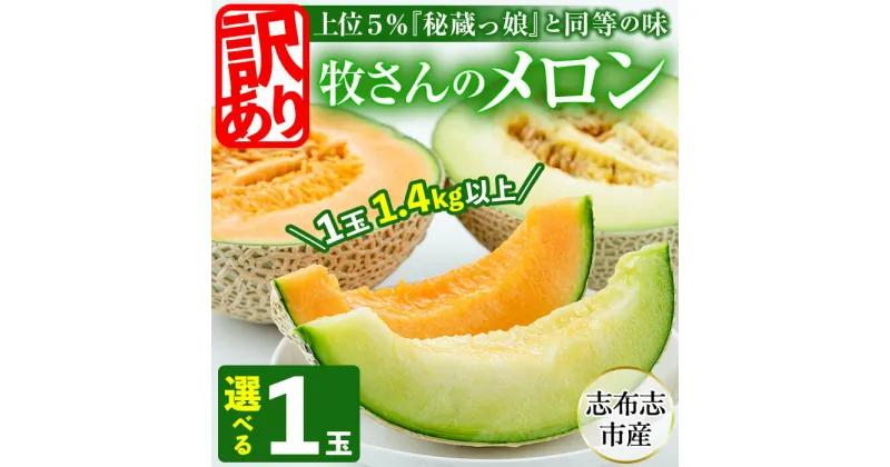 【ふるさと納税】【訳あり・数量限定】【冬限定メロン】＜R6年11月下旬～12月末頃発送予定＞牧さんの訳ありメロン！選べる赤玉・白玉どちらか1玉(1.4kg以上)鹿児島県志布志市産！安心安全、高級フルーツ国産マスクメロン【ファームランド牧】