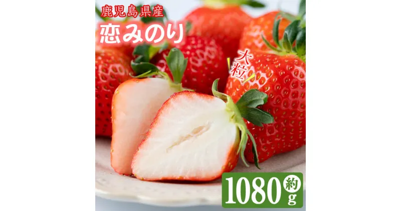 【ふるさと納税】＜先行予約受付中！R6年12月中旬以降配送予定＞【期間限定】【数量限定】鹿児島県産朝採れイチゴ「恋みのり」約1080g(約270g×4パック) いちご イチゴ 苺 果物 フルーツ スイーツ デザート お菓子 人気 甘い 大粒 ジャム スムージー 【本田農園】a3-209
