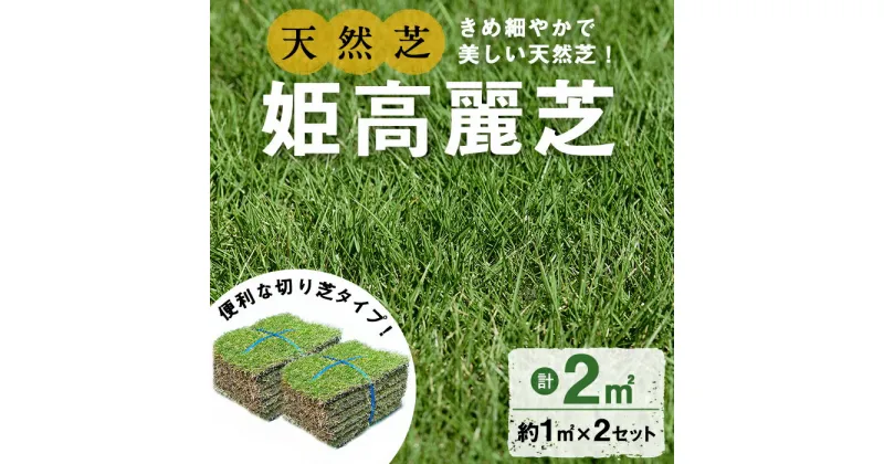 【ふるさと納税】＜先行予約受付中！R7年1月頃配送予定＞鹿児島県産＜天然芝＞姫高麗芝(2平米) 芝 芝生 天然 天然芝 切り芝 DIY ガーデニング 高麗芝 姫高麗芝 高密度 鹿児島県 お庭 観賞用 【明幸芝園】a0-339