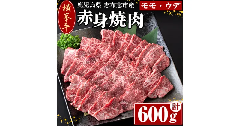 【ふるさと納税】鹿児島県志布志市産(国産交雑種) 横峯牛の赤身焼肉(600g×1P) 鹿児島県産 国産 牛肉 牛 赤身 赤身肉 焼き肉 希少牛 手切り モモ ウデ バーベキュー BBQ【エル三和】b0-165