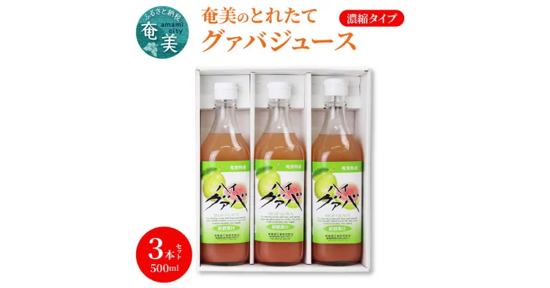 【ふるさと納税】 ジュース グァバ 希釈 500ml 3本 セット 瓶 奄美産 とれたて 果物 南国フルーツ お歳暮 Z