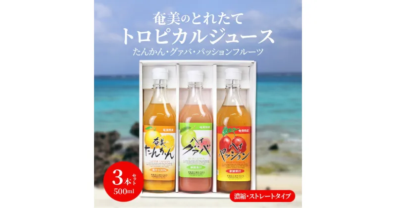 【ふるさと納税】 トロピカルフルーツ ジュース たんかん グァバ パッションフルーツ アソートセット 希釈 500ml 3本 セット 瓶 奄美産 とれたて 果物 フルーツ お歳暮 Z