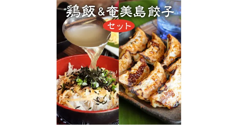 【ふるさと納税】 レトルト 鶏飯 餃子 セット 島豚 ギフト のし対応 冷凍 鶏出汁