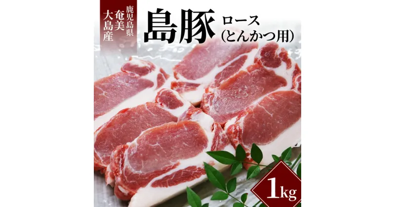 【ふるさと納税】豚肉 1kg ロース とんかつ用 鹿児島県 奄美大島産 島豚 トンカツ ステーキ おかず 豚ロース 豚 国産 肉 お肉 お取り寄せ お取り寄せグルメ 食品 食べ物 送料無料 冷凍