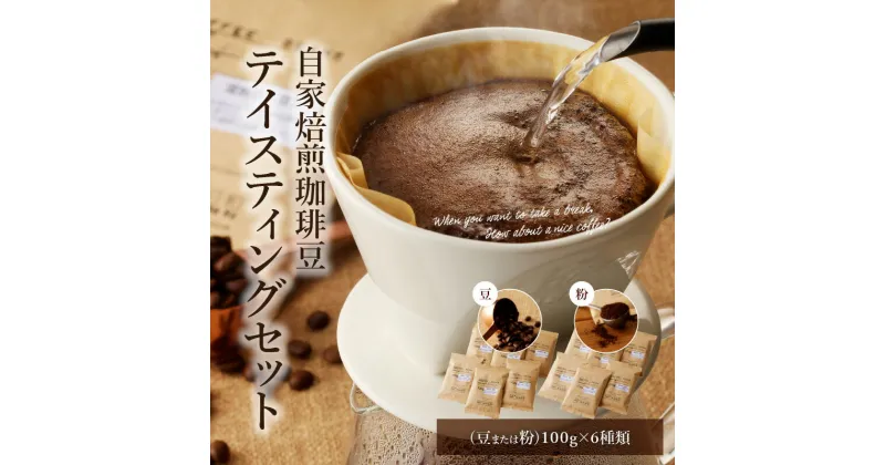 【ふるさと納税】 コーヒー 自家焙煎 豆 粉 選べる 100g 6種類 テイスティングセット 浅煎り 中煎り 深煎り 海外産豆 エチオピア グァテマラ ブラジル コスタリカ インド インドネシア ケニア 自家焙煎珈琲こん日和