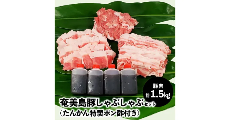 【ふるさと納税】豚肉 セット 1.5kg 豚バラ 豚肩ロース 豚もも肉 奄美島豚 脂身に旨み ポン酢 しゃぶしゃぶ 奄美 島豚 黒豚 冬 鍋 セットたんかん 特製ポン酢 お取り寄せ お取り寄せグルメ 鹿児島県 奄美市 送料無料 冷凍