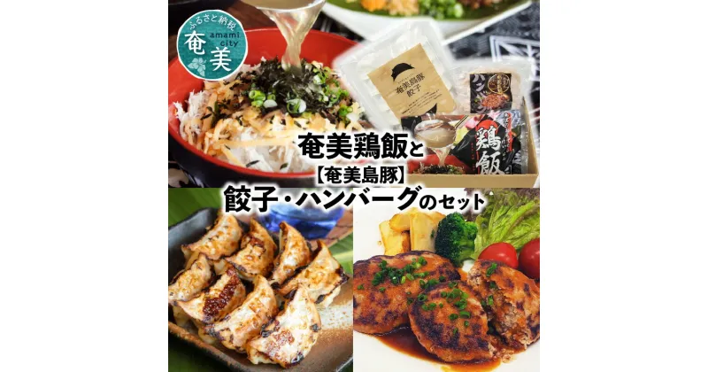 【ふるさと納税】ハンバーグ 2個 餃子 12個 鶏飯 2食分 セット 奄美 島豚 黒豚 簡単 奄美島豚 時短調理 焼くだけ お手軽 郷土料理 島料理 お取り寄せ お取り寄せグルメ 鹿児島県 奄美市 送料無料 冷凍