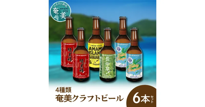 【ふるさと納税】クラフトビール ブラウンエール ヴァイツェン ペールエール 330ml 4種類 計6本 家飲み ビール 地ビール 瓶ビール 鹿児島 奄美大島 純黒糖 ショウガ 島ばなな 長命草 シークニン ソルティー お歳暮 Z