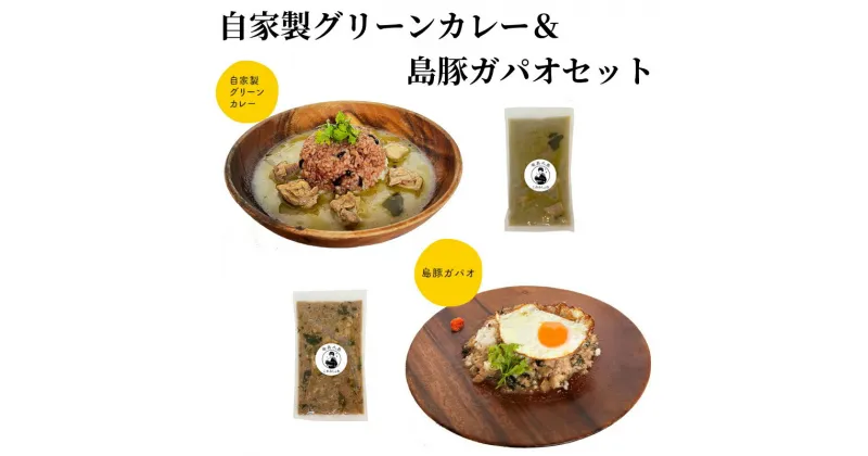 【ふるさと納税】カレー グリーンカレー 250g 島豚 ガパオ 200g タイ料理 甘くて辛いココナッツミルクの自家製グリーンカレー キャンプ 奄美大島 鹿児島 冷凍 お取り寄せ グルメ 送料無料