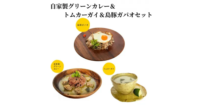 【ふるさと納税】カレー グリーンカレー 250g ガパオ 島豚 トムカーガイ 鶏肉 生姜 ココナッツミルク スープ 甘くて辛いココナッツミルクの自家製グリーンカレー 奄美大島 鹿児島 冷凍 お取り寄せ グルメ 送料無料