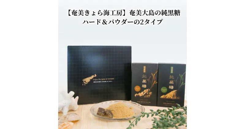 【ふるさと納税】黒糖 固形 85g 粉末 パウダー 80g 奄美大島産 自社農園 栽培 製造 濃厚 純黒糖 さとうきび100％使用 濃厚な美味しさ 濃厚な香り 優しい甘さ 鹿児島県 奄美市 奄美きょら海工房 お取り寄せ 食品 送料無料