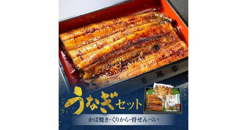 【ふるさと納税】うなぎ かば焼き 100g 1枚 くりから 5本 骨せんべい 30g 1袋 セット 老舗 うなぎ屋 炭火焼き 新鮮 秘伝 タレ 真空パック 加工品 冷凍 お取り寄せ ギフト 鹿児島県産 奄美市 送料無料