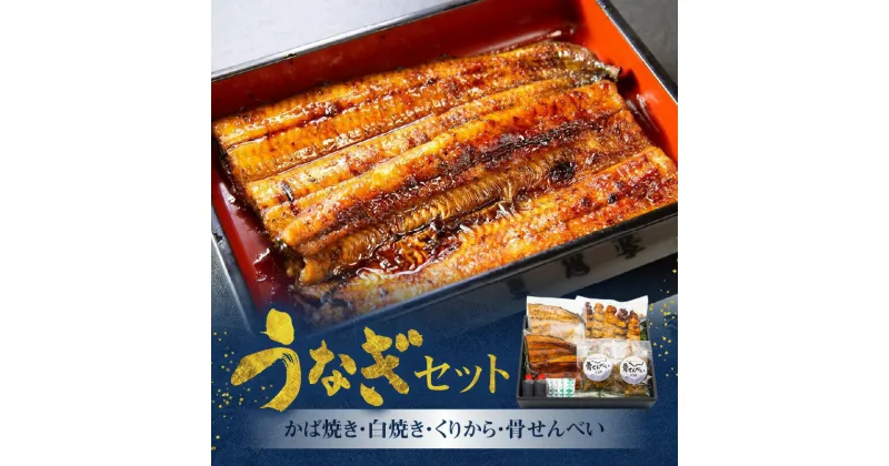 【ふるさと納税】うなぎ かば焼き 白焼き 各 100g 1枚 くりから 5本 骨せんべい 30g 2袋 セット 老舗 うなぎ屋 炭火焼き 新鮮 秘伝 タレ 真空パック 加工品 冷凍 お取り寄せ ギフト 鹿児島県産 奄美市 送料無料