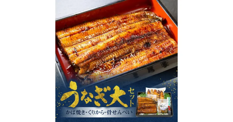 【ふるさと納税】うなぎ かば焼き 150g 1枚 くりから 5本 骨せんべい 30g 1袋 セット 老舗 うなぎ屋 炭火焼き 新鮮 秘伝 タレ 真空パック 加工品 冷凍 お取り寄せ ギフト 鹿児島県産 奄美市 送料無料