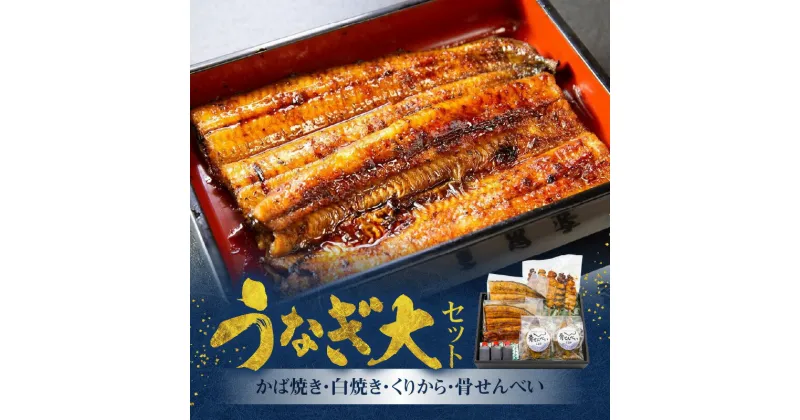 【ふるさと納税】うなぎ かば焼き 白焼き 各 150g 1枚 くりから 5本 骨せんべい 30g 2袋 セット 老舗 うなぎ屋 炭火焼き 新鮮 秘伝 タレ 真空パック 加工品 冷凍 お取り寄せ ギフト 鹿児島県産 奄美市 送料無料