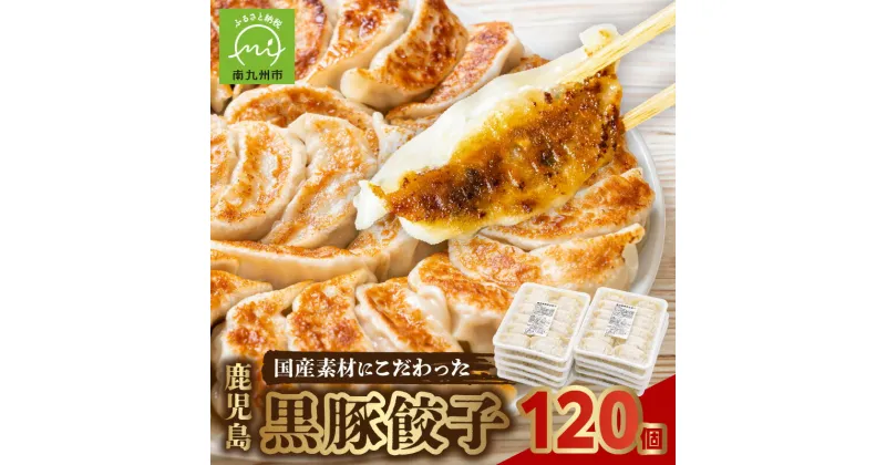 【ふるさと納税】高評価 餃子 黒豚餃子 16g × 12個 × 10パック 計 120個 鹿児島黒豚 100% しっとり やわらかい 旨味 ジューシー さっぱりとした味わい 国産 厳選 素材 あふれる肉汁 もっちもちの皮 おつまみ 惣菜 おかず お取り寄せ グルメ 送料無料 鹿児島県 南九州市