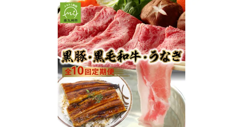 【ふるさと納税】定期便 10回 鹿児島 黒毛和牛 黒豚 うなぎ 豚肉 牛肉 肉 生ハム 切落し 和牛 すき焼き ロースステーキ ハンバーグ ソーセージ しゃぶしゃぶ 生姜焼き 合挽メンチ カルビ 味噌ホルモン ホルモン プルコギ お取り寄せ グルメ 鹿児島県 南九州市 送料無料