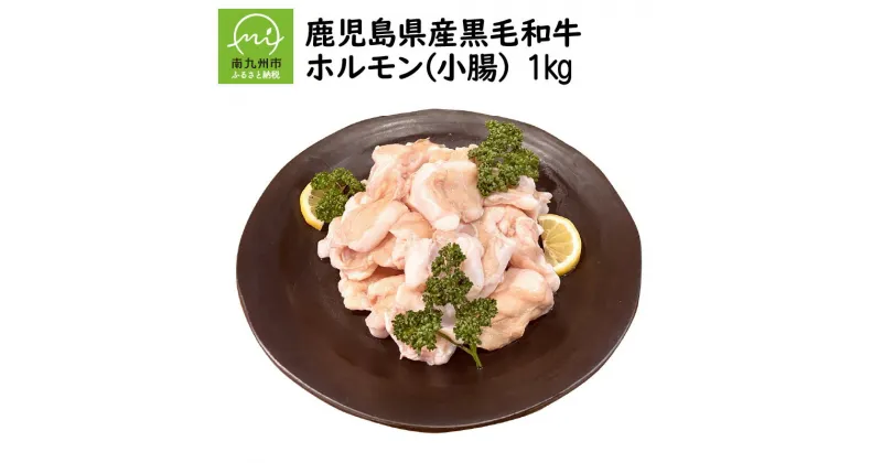 【ふるさと納税】鹿児島県産 黒毛和牛 ホルモン 小腸 500g × 2 パック 合計 1kg 柔らかく 脂が多く 食べやすい ジューシー プリプリ 国産 まるちょう もつ もつ鍋 焼肉 牛肉 牛 肉匠 いづみ屋 鹿児島県 南九州市 送料無料