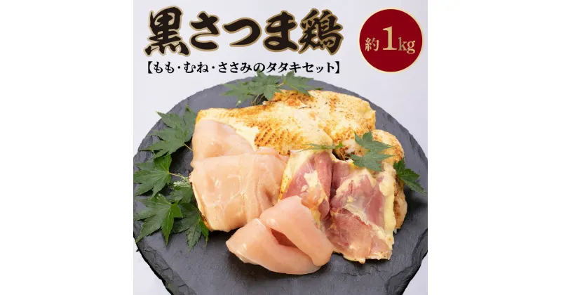 【ふるさと納税】黒さつま鶏 もも むね ささみ タタキ 約 1kg さしみ醤油 100ml セット 地鶏 鶏刺し 食べ比べ 刺身 旨味 おつまみ お肉 冷凍 国産 鹿児島県南九州市産 鹿児島県 南九州市 お取り寄せ お取り寄せグルメ 送料無料