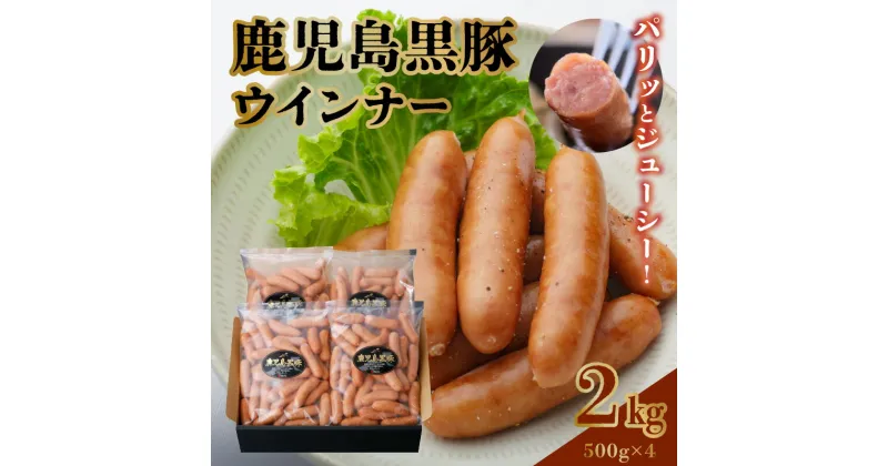 【ふるさと納税】鹿児島黒豚 ウインナー 500g 4袋 計 2kg セット パリッ ジューシー あらびき 歯ごたえ 黒豚 ソーセージ お弁当 おかず バーベキュー 食品 食べ物 鹿児島県 南九州市 お取り寄せ お取り寄せグルメ 送料無料