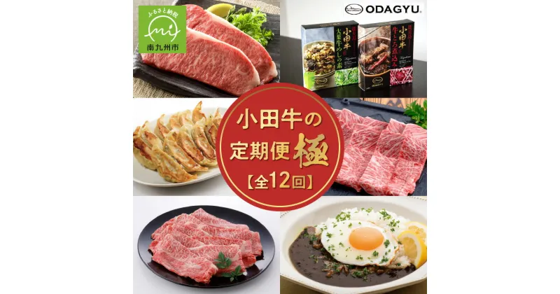 【ふるさと納税】定期便 全12回 小田牛 極 牛 レトルト 煮込み 牛めし ボロネーゼソース カレー 肩ロース すき焼き ハンバーグ チーズハンバーグ モモ リブ サーロイン ステーキ ローストビーフ 焼売 餃子 焼肉 肉 鹿児島県 南九州市 お取り寄せ お取り寄せグルメ 送料無料