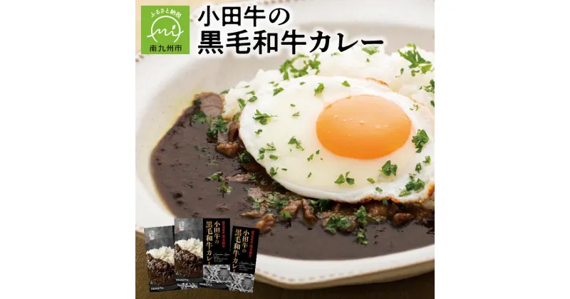 【ふるさと納税】小田牛の黒毛和牛カレー