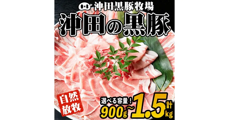 【ふるさと納税】＜容量を選べる！＞鹿児島県産！幻の黒・沖田の黒豚(計900g or 1.5kg・ロース、肩ロース、バラ、モモ、ウデ) 国産 九州産 鹿児島 肉 お肉 黒豚 豚肉 生姜焼き しょうが焼き しゃぶしゃぶ 冷凍 冷凍便【沖田黒豚牧場】【A3-01・B6-01】