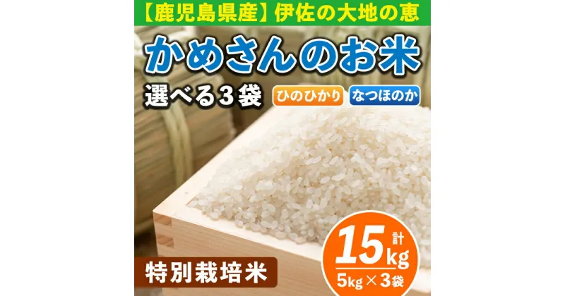 【ふるさと納税】選べる！かめさんのお米(計15kg・5kg×3袋) ひのひかり、なつのほか2品種の伊佐米から3袋 白米 精米 ヒノヒカリ ナツホノカ ひのひかり なつほのか 新米【Farm-K】