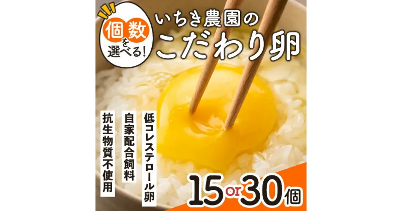 【ふるさと納税】＜個数を選べる＞いちき農園のこだわり卵(計15個 or 30個) 平飼い 鶏 たまご 低コレステロール 抗生物質不使用 卵かけご飯 TKG【いちき農園】【Z5-01・A0-07】