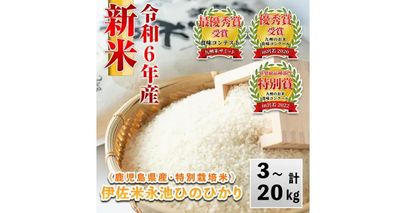 【ふるさと納税】＜内容量が選べる＞令和6年産 新米 特別栽培米 伊佐米永池ひのひかり(3kg/5kg/10kg/20kg) 伊佐市 永池 特産品 伊佐米 九州米サミット 食味コンテスト 最優秀賞受賞 ヒノヒカリ【エコファーム永池】【Z5-10】