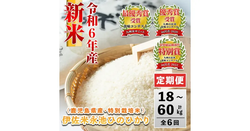 【ふるさと納税】＜内容量が選べる＞【定期便】令和6年産 新米 特別栽培米 伊佐米永池ひのひかり(3kg/5kg/10kg×6ヶ月) 伊佐市 永池 お米 米 白米 精米 伊佐米 食味コンテスト 最優秀賞受賞 ヒノヒカリ【エコファーム永池】