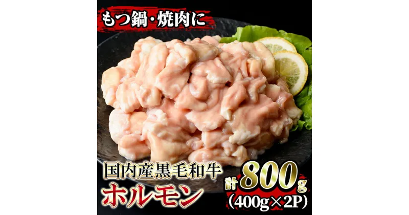 【ふるさと納税】国内産黒毛和牛！ホルモン(計800g・400g×2P) 国産 牛 和牛 大腸 小腸 赤センマイ ミックス 小分け 真空パック もつ鍋 焼肉 煮込み BBQ バーベキュー アウトドア 冷凍 冷凍便【堀ノ内商会】