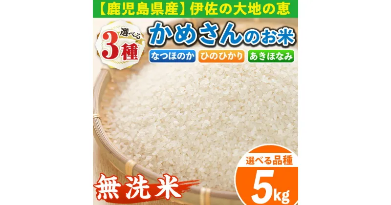 【ふるさと納税】《選べる品種・数量限定》かめさんのお米(5kg・なつほのかorひのひかりorあきほなみ・無洗米) 国産 白米 精米 無洗米 伊佐米 お米 米 生産者 なつほのか ひのひかり あきほなみ ナツホノカ ヒノヒカリ アキホナミ 新米【Farm-K】