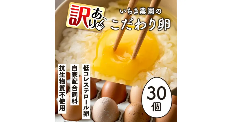 【ふるさと納税】《訳あり・毎月数量限定》いちき農園のこだわり卵(計30個・15個入り×2パック) 平飼い 鶏 たまご 低コレステロール 抗生物質不使用 卵かけご飯 TKG 訳あり【いちき農園】