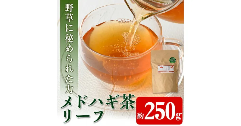 【ふるさと納税】メドハギ茶 (リーフ250g) 鹿児島 メドハギ茶 お茶 健康茶 茶 ティー 薬草【やさしいまち】