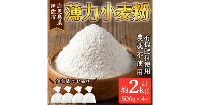 【ふるさと納税】《毎月数量限定》あんしん小麦粉・薄力粉(約500g×4袋・計約2kg） 小麦粉 小麦 薄力粉 薄力小麦粉 鹿児島県 伊佐市 お菓子作り 料理 有機肥料 農薬不使用【しげふみファーム】