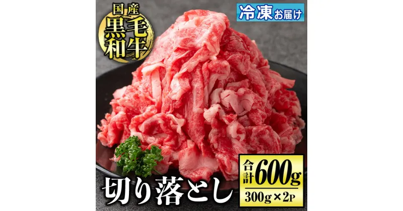 【ふるさと納税】国産黒毛和牛 切り落とし(計600g・300g×2P) 国産 牛 牛肉 肉 BBQ 炒め物 冷凍 冷凍便 詰め合わせ【お肉の直売所 伊佐店】