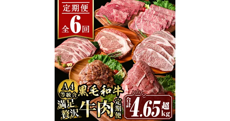 【ふるさと納税】【定期便6回】満足贅沢 牛肉定期便(合計4.65kg超) 肉 牛肉 霜降り すきやき しゃぶしゃぶ 牛しゃぶ サーロイン リブロース ステーキ 冷凍 ロース カタロース 肩ロース BBQ アウトドア【サンキョーミート株式会社】