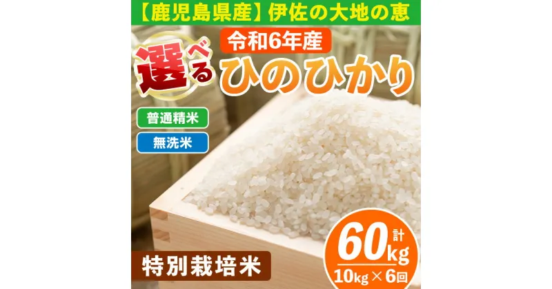 【ふるさと納税】【定期便6回】 選べる精米方法！令和6年産 鹿児島県伊佐産 特別栽培ひのひかり(計60kg・10kg×6ヵ月) 国産 白米 精米 無洗米 伊佐米 お米 米 生産者 定期便 ヒノヒカリ 新米【Farm-K】