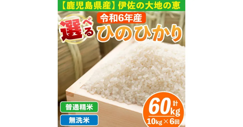 【ふるさと納税】【定期便6回】 選べる精米方法！令和6年産 鹿児島県伊佐南浦産ひのひかり (合計60kg・計10kg×6ヵ月) 国産 白米 精米 無洗米 伊佐米 お米 米 生産者 定期便 ひのひかり 新米【Farm-K】