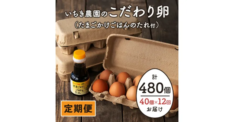 【ふるさと納税】【定期便】いちき農園のこだわり卵(計480個・40個×12カ月) 平飼い 鶏 たまご 卵 タマゴ 低コレステロール 抗生物質不使用 卵かけご飯 TKG 定期便【いちき農園】