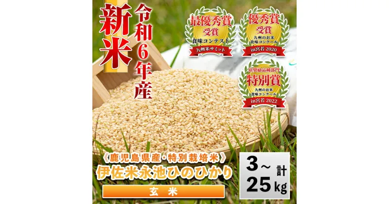 【ふるさと納税】＜内容量が選べる＞令和6年産 新米 特別栽培米 永池ひのひかり玄米(3kg/5kg/10kg/25kg) 鹿児島 永池 お米 米 玄米 伊佐米 九州米サミット 食味コンテスト 最優秀賞受賞 ヒノヒカリ【エコファーム永池】