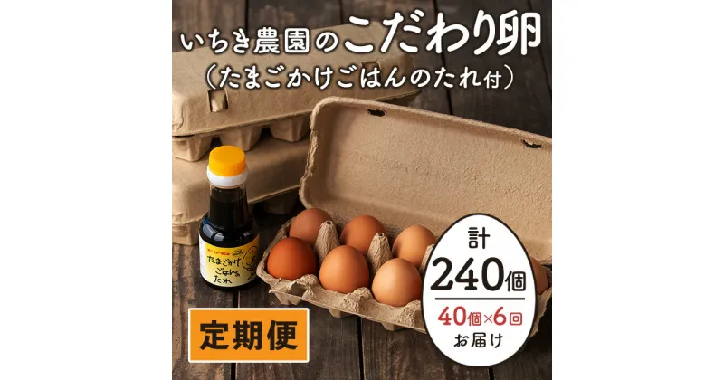 【ふるさと納税】【定期便】いちき農園のこだわり卵(計240個・40個×6カ月) 平飼い 鶏 たまご 卵 タマゴ 低コレステロール 抗生物質不使用 卵かけご飯 TKG 定期便【いちき農園】