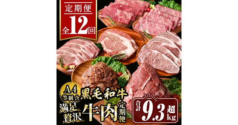 【ふるさと納税】【定期便12回】満足贅沢 牛肉定期便(合計9.3kg超) 肉 牛肉 霜降り すきやき しゃぶしゃぶ 牛しゃぶ サーロイン リブロース ステーキ 冷凍 ロース カタロース 肩ロース BBQ アウトドア【サンキョーミート株式会社】