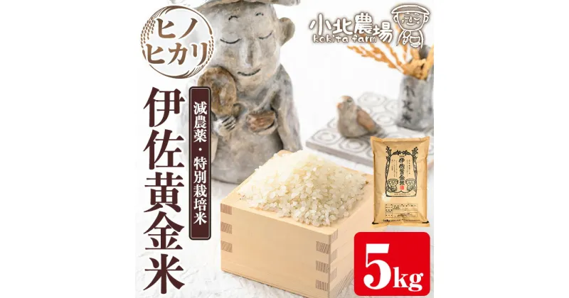 【ふるさと納税】《数量限定》小北農場のお米 伊佐黄金米〈ヒノヒカリ〉(5kg) 鹿児島 伊佐 お米 特別栽培米 伊佐米 白米 ヒノヒカリ ひのひかり おにぎり ごはん 【小北農場】