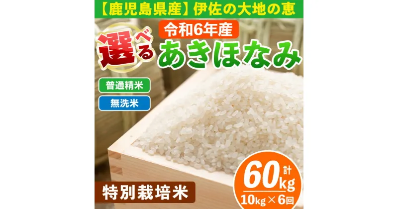 【ふるさと納税】【定期便6回】 選べる精米方法！令和6年産 鹿児島県伊佐産 特別栽培あきほなみ(計60kg・10kg×6ヵ月) 国産 白米 精米 無洗米 伊佐米 お米 米 生産者 定期便 あきほなみ アキホナミ 新米 特別栽培米【Farm-K】