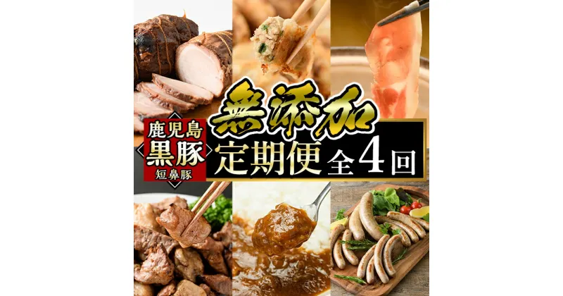 【ふるさと納税】鹿児島黒豚「短鼻豚」定期便(4ヶ月コース)豚肉しゃぶしゃぶ用・炭火焼肉・豚モモ肉、餃子、ハム・ソーセージなど詰め合わせた黒豚肉定期便！国産 鹿児島 肉 豚 豚肉 黒豚 もも モモ スライス 焼肉 総菜 ぎょうざ ウインナー セット【鹿児島ますや】