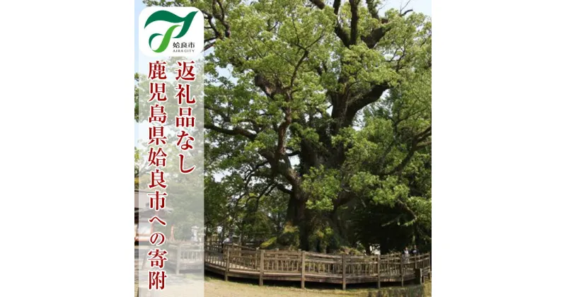 【ふるさと納税】≪返礼品なし≫鹿児島県姶良市への寄附【姶良市】